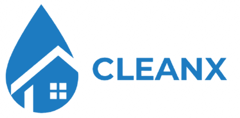 CleanX Logo