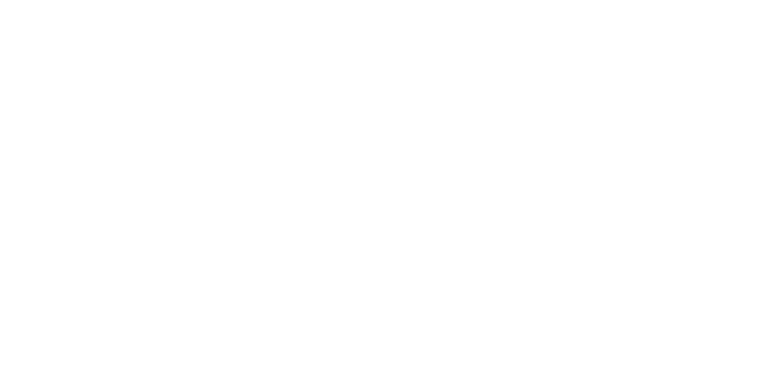 CleanX