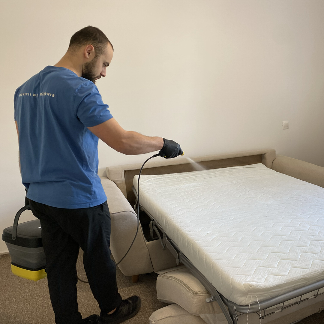 Lucrare CleanX 7