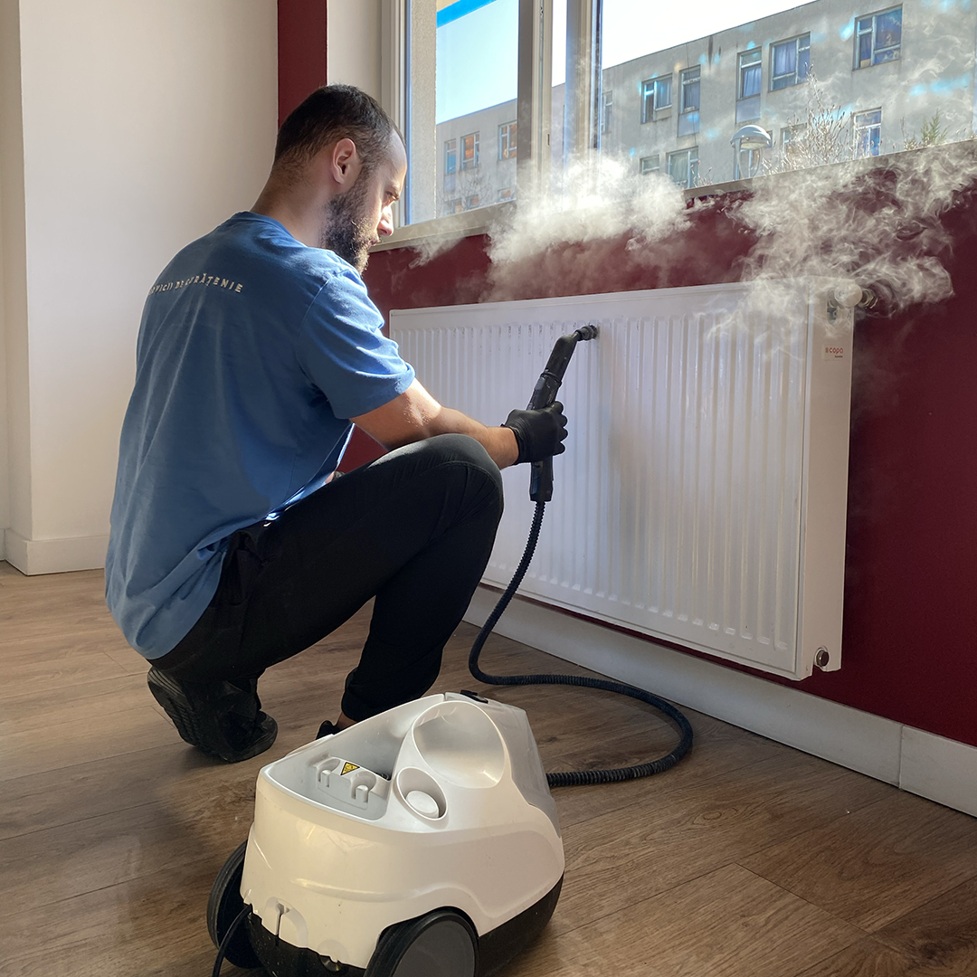 Lucrare CleanX 9